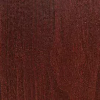 Cinnamon stain